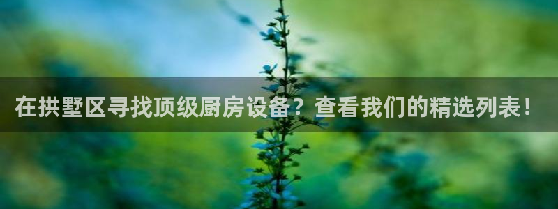 尊龙凯时app安装：在拱墅区寻找顶级厨房设备？查看我们的精选