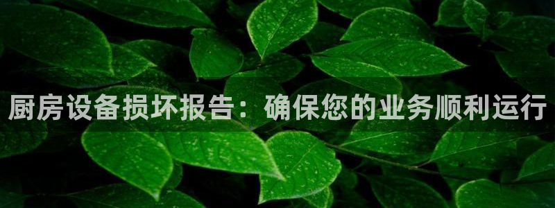 尊龙集团有限公司招聘：厨房设备损坏报告：确保您的业务顺利运行